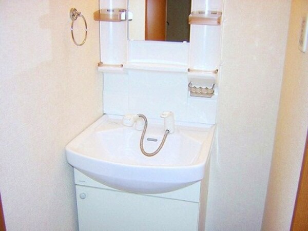 洗面・脱衣所(室内写真は別部屋の写真です。)