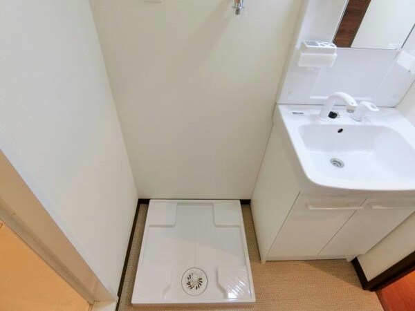 洗面・脱衣所(室内写真は別部屋の写真です。)
