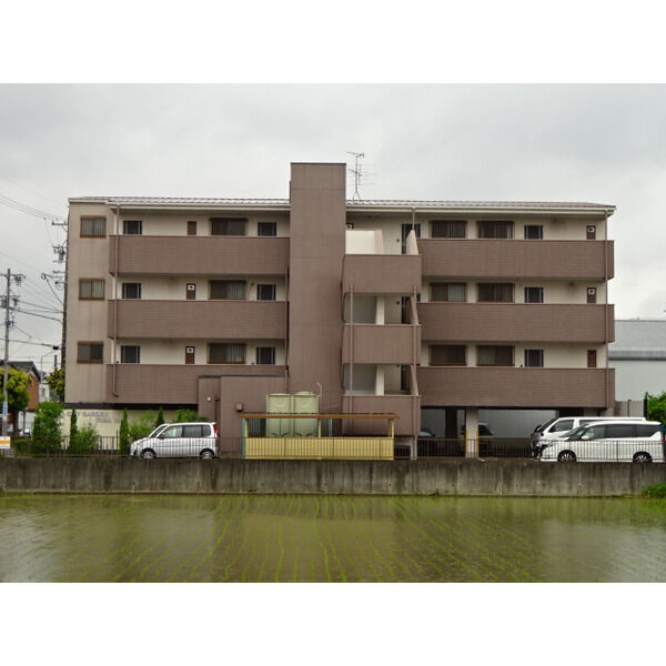 シティーガーデン入場一番館
