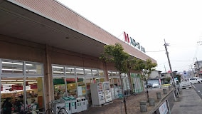 ハローズ 手城店