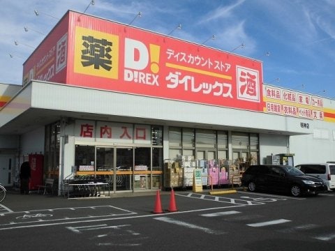 ダイレックス 明神店