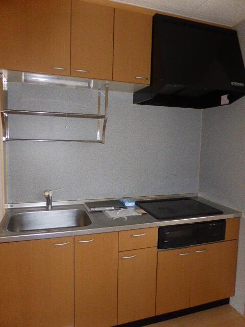 物件内観写真10　(キッチン)