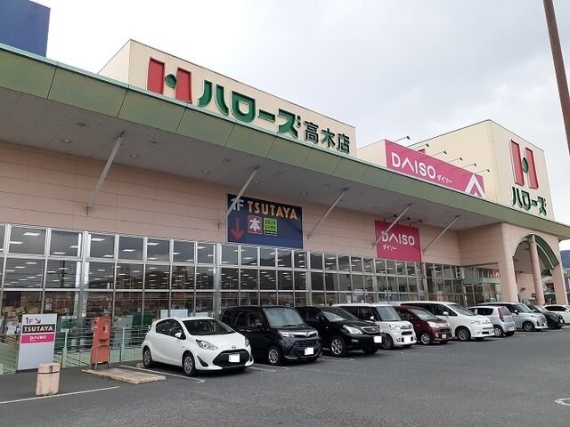 周辺環境(ハローズ高木店まで1200m)