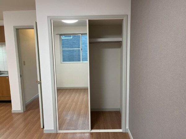 収納(LDKクローゼット)