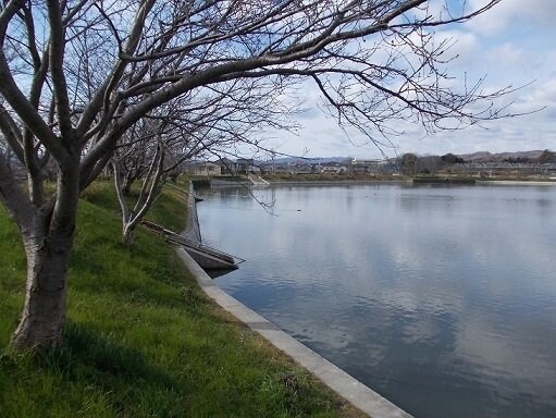 物件外観写真3　(服部大池公園まで500m)