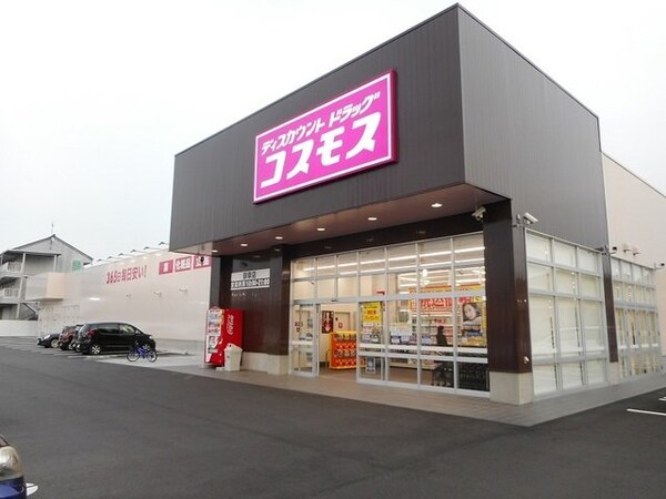 周辺環境(コスモス御幸店まで650m)
