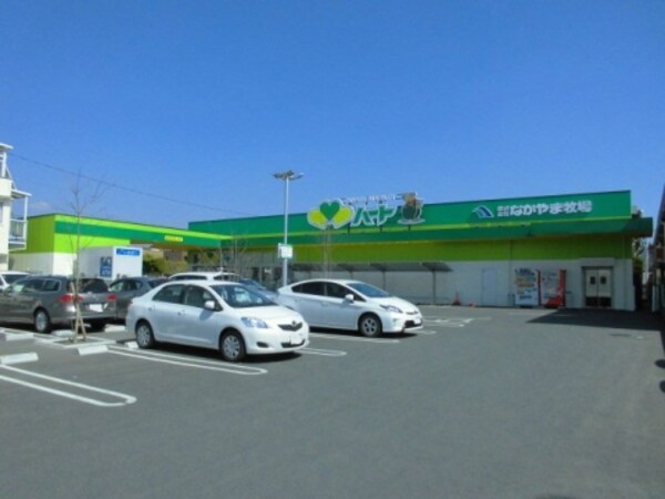 周辺環境(なかやま牧場ハート 木之庄店 877m)
