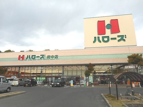 周辺環境(ハローズ府中店まで3900m)