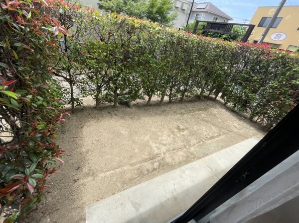 庭