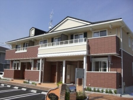 セロリー外観写真