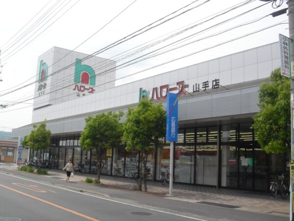周辺環境(ハローズ山手店（スーパー）まで800ｍ)