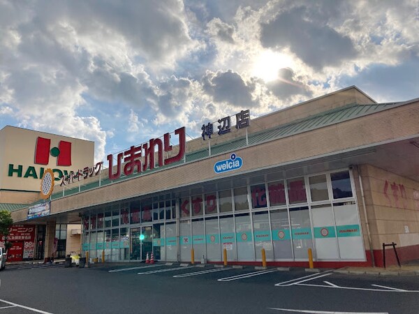 周辺環境(スーパードラッグひまわり 神辺店 746m)