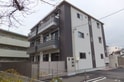 A&Y