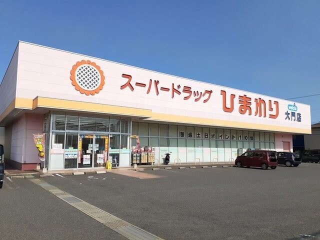 物件外観写真8　(ひまわり大門店まで1100m)