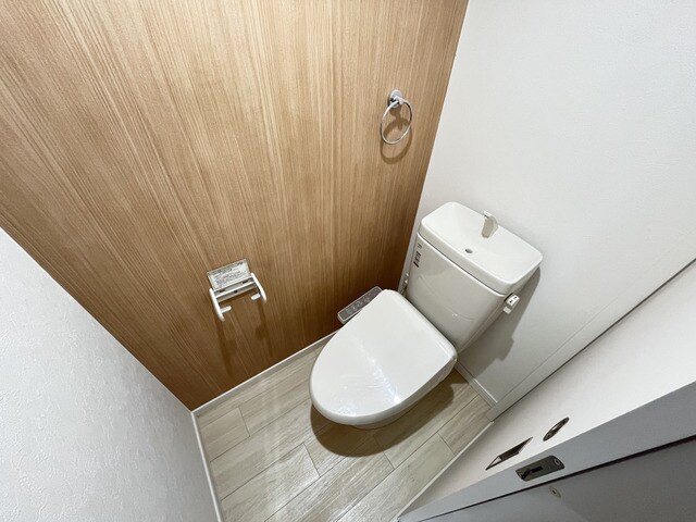 物件内観写真20　(落ち着いた色調のトイレです)