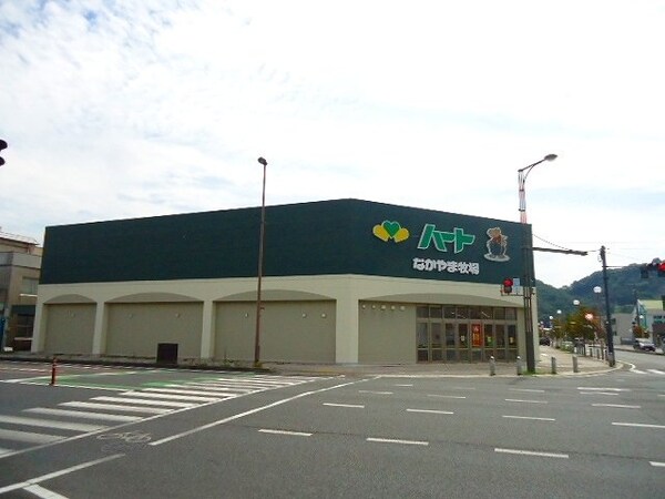 周辺環境(なかやま牧場ハート井原店まで1100m)