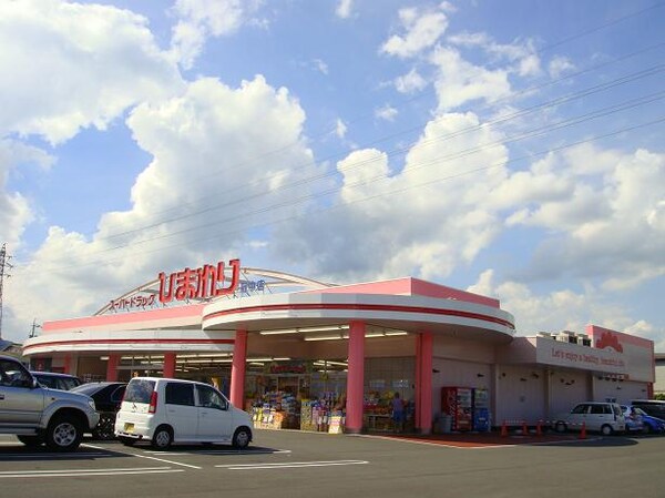 周辺環境(スーパードラッグひまわり府中店まで1,311ｍ)