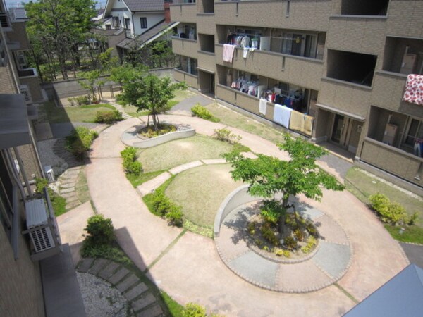 庭