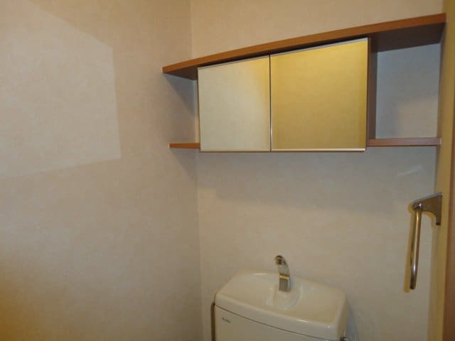 物件内観写真17　(トイレ収納)
