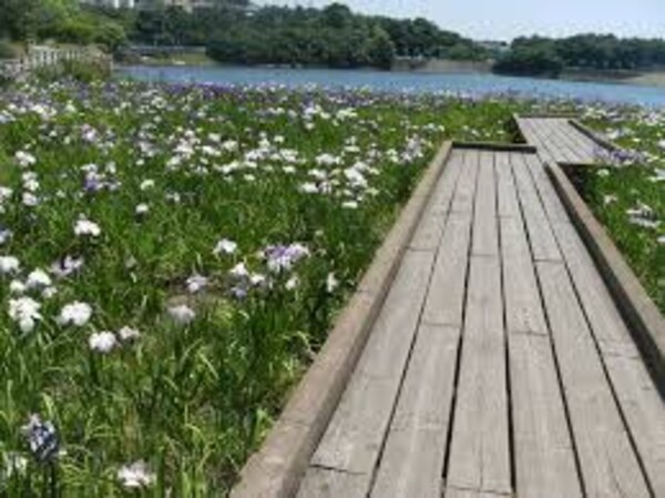 周辺環境(春日池公園 2771m)