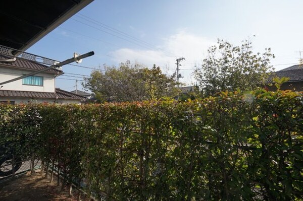 庭