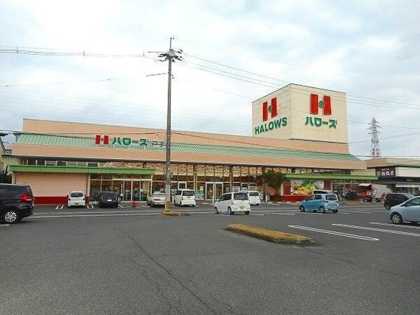 周辺環境(ハローズ戸手店まで140m)