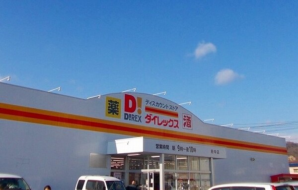 周辺環境(ダイレックス府中店まで1600m)