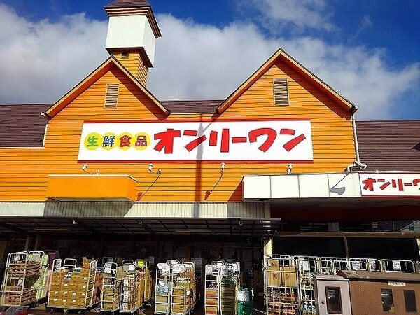 周辺環境(オンリーワン沖野上店まで210m)