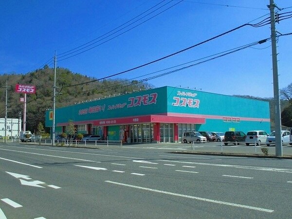 周辺環境(コスモス井原店まで1100m)