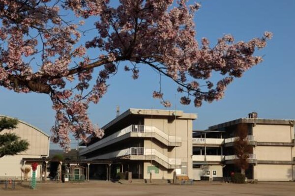 周辺環境(井原市立西江原小学校 1483m)
