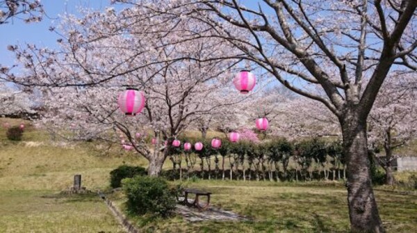 周辺環境(亀迫城山公園 1816m)