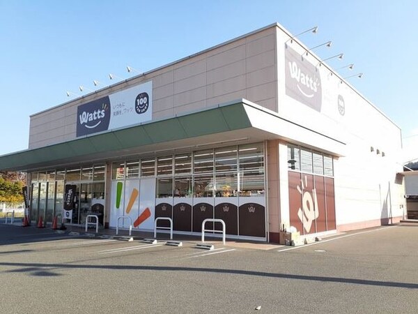 周辺環境(ワッツ井原ハローズ店まで455m)