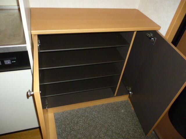 物件内観写真3　(玄関)