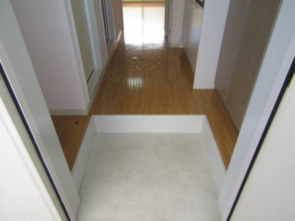 玄関(同タイプ、別の部屋の写真です。)