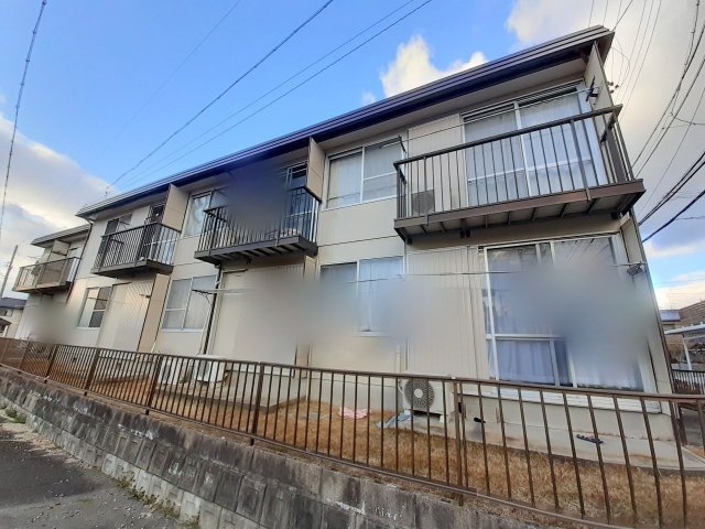 フォーブルヒラマツ