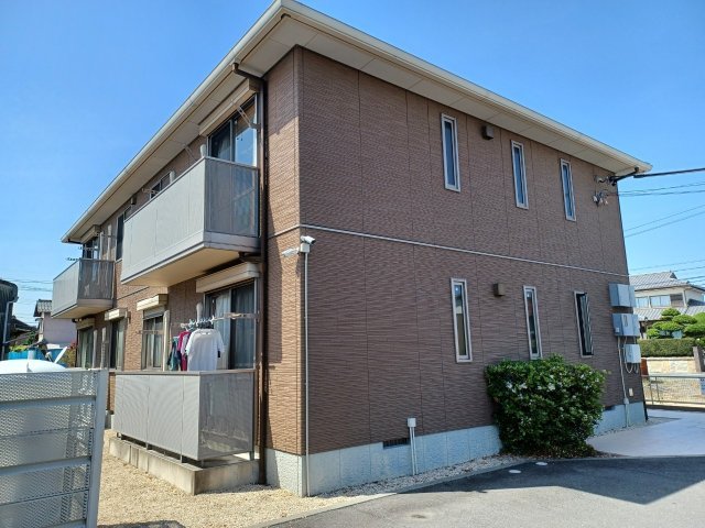 エーデルワイス