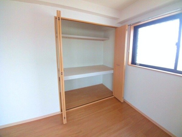 収納(同建物の別部屋写真)