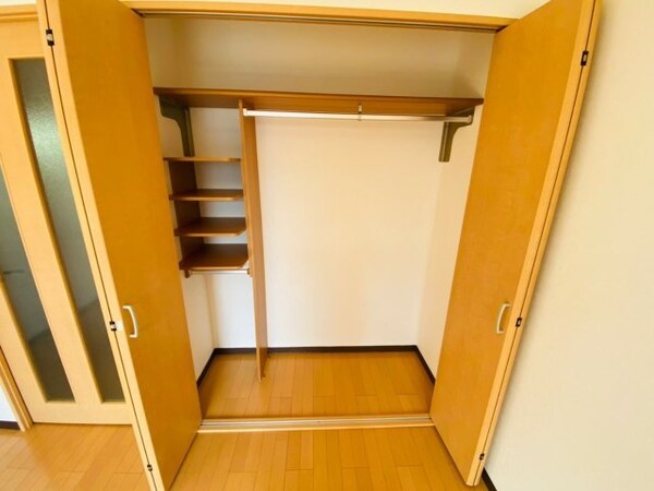 収納(同物件、別部屋の写真です)