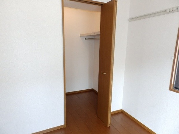 収納(収納同タイプの部屋写真です)