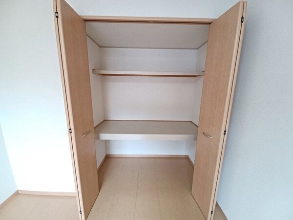 収納(同建物の別部屋写真です)