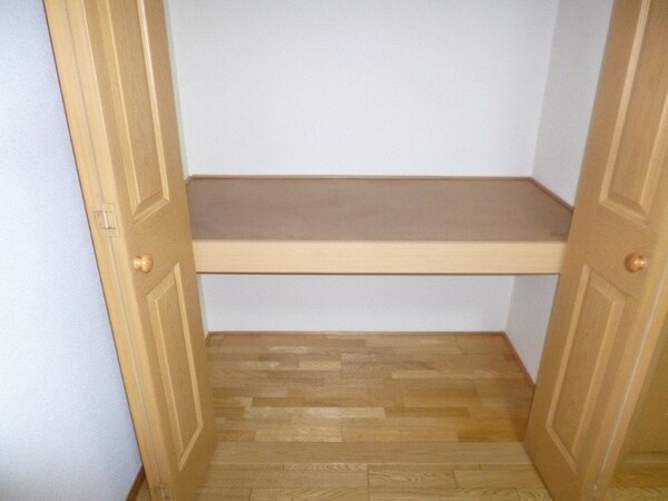 収納(同一物件別部屋の写真です)