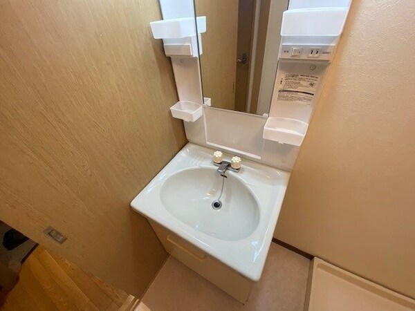 洗面所(別部屋同タイプ)