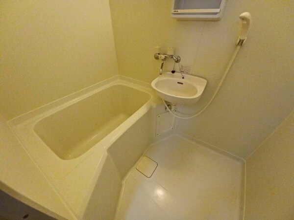 バス／シャワールーム等(同型別室のお写真です)