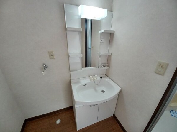 洗面所(同タイプの部屋写真です。)