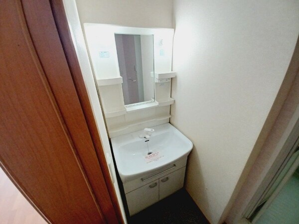 洗面所(同型タイプの写真です)