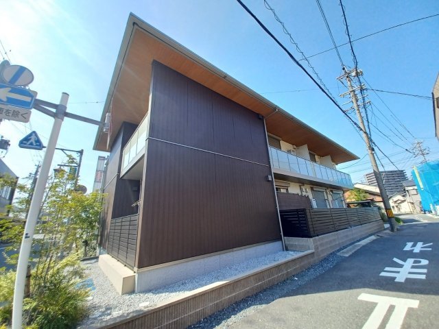 ｓｈａｍａｉｓｏｎ　Ｔａｎｉｇｕｃｈｉ