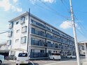 第一杉の木ハイツ