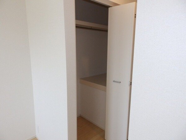 収納(同建物反転タイプの部屋写真です)
