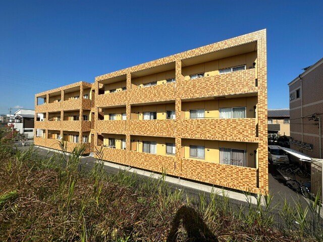 Ｔフェアリートキワ