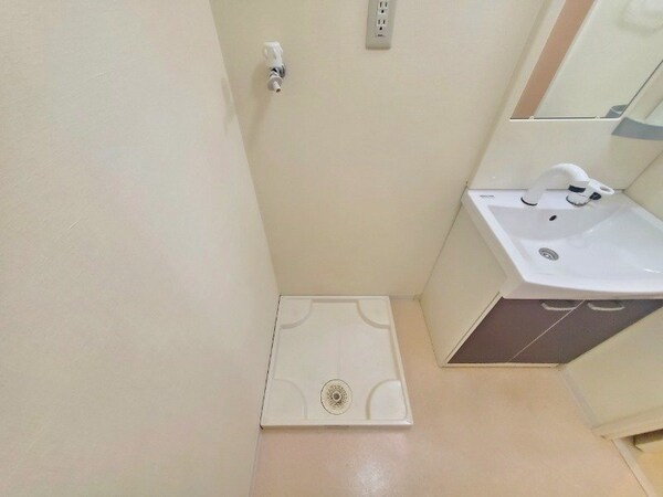 その他(同型反転参考写真)